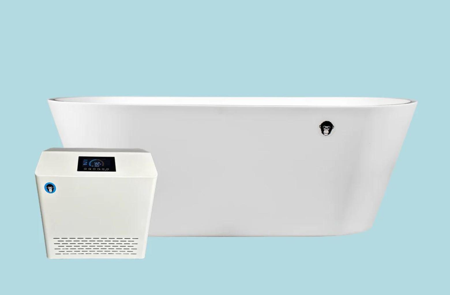 Polar Monkeys Brainpod 2.0